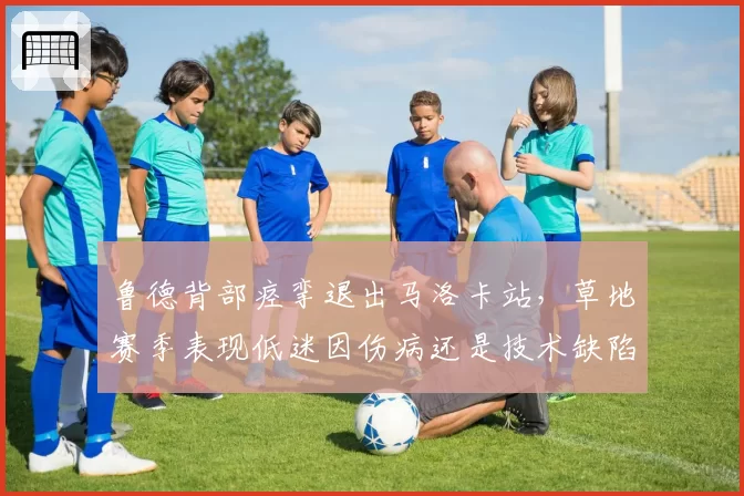 鲁德背部痉挛退出马洛卡站,草地赛季表现低迷因伤病还是技术缺陷?